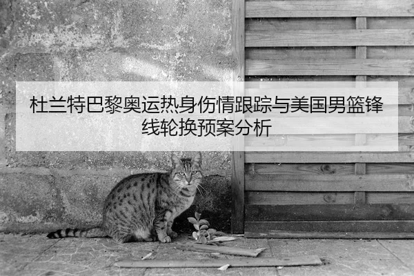 杜兰特巴黎奥运热身伤情跟踪与美国男篮锋线轮换预案分析
