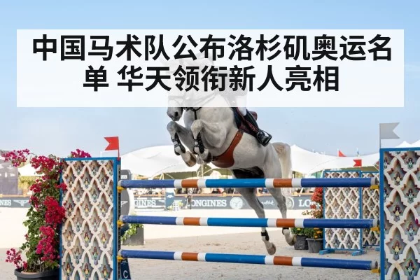 show jumping horse competition